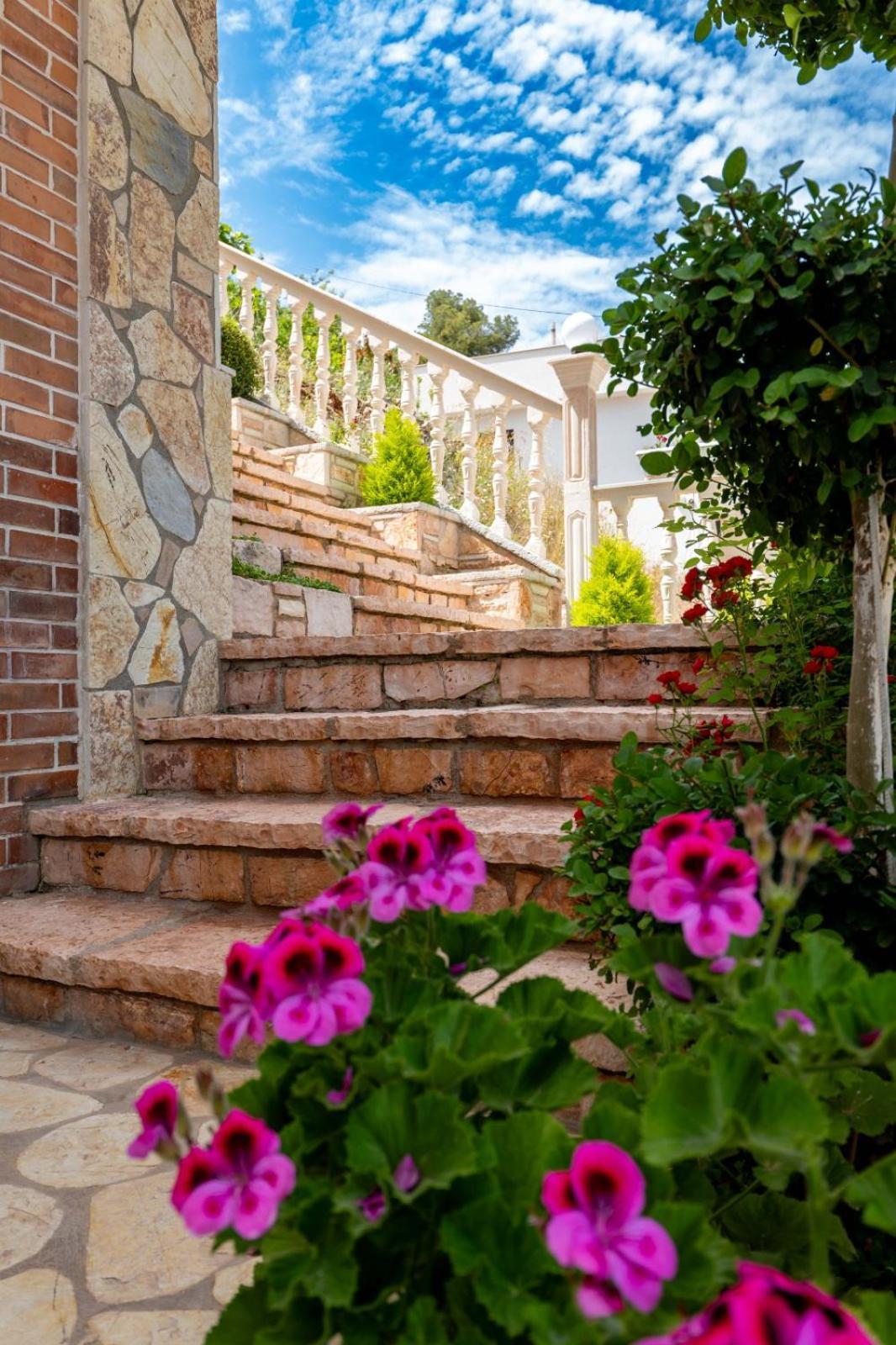 Vila Basho Sarandë エクステリア 写真
