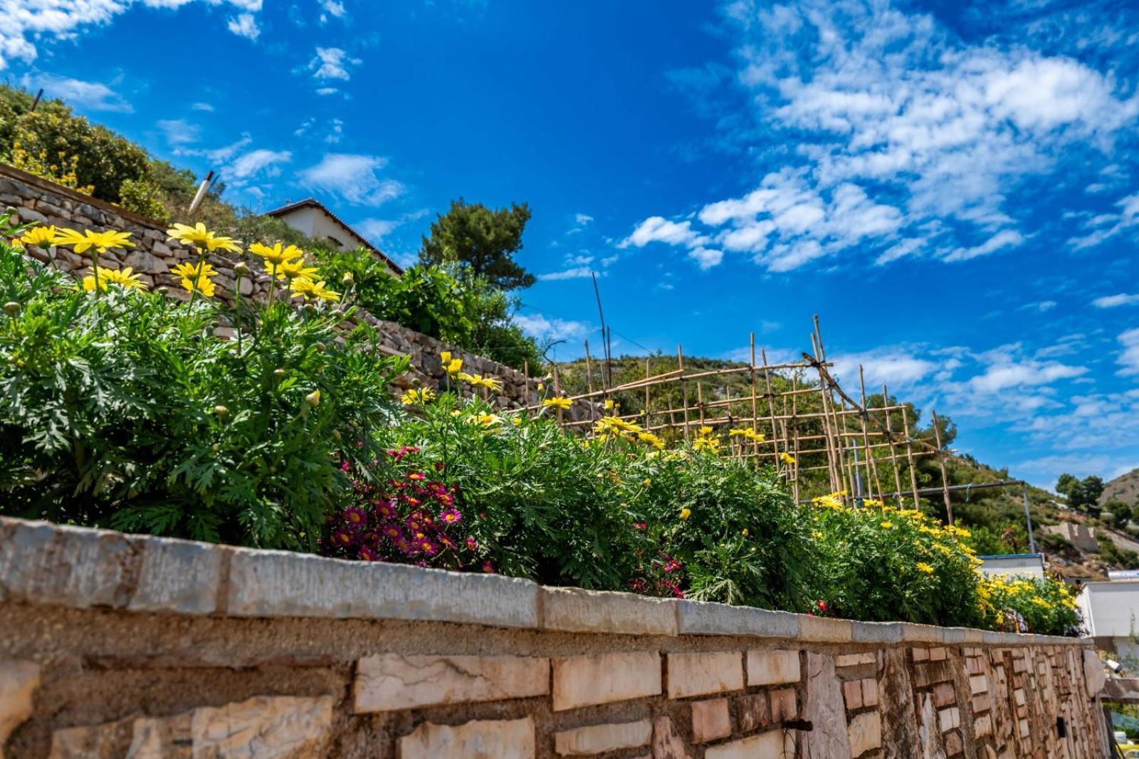 Vila Basho Sarandë エクステリア 写真